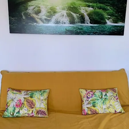 Pura Vida El Mojon (Canary)